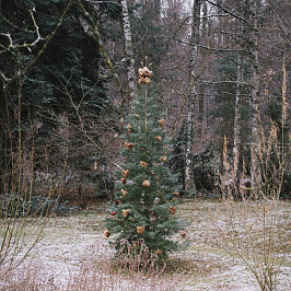 С наступающим 2025! С наступающим 2025!